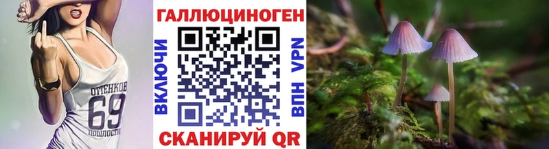 Псилоцибиновые грибы мухоморы Ачхой-Мартан