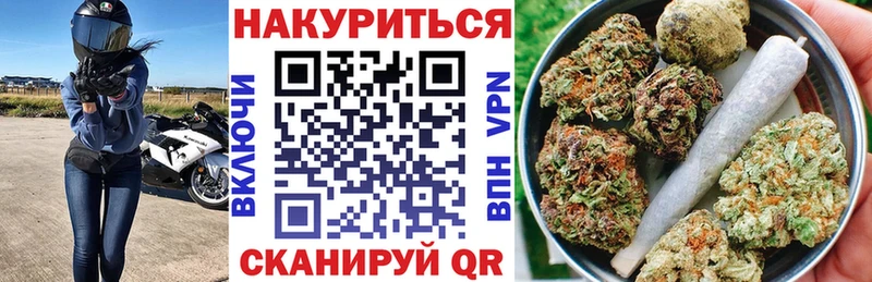 Марихуана гибрид Ачхой-Мартан